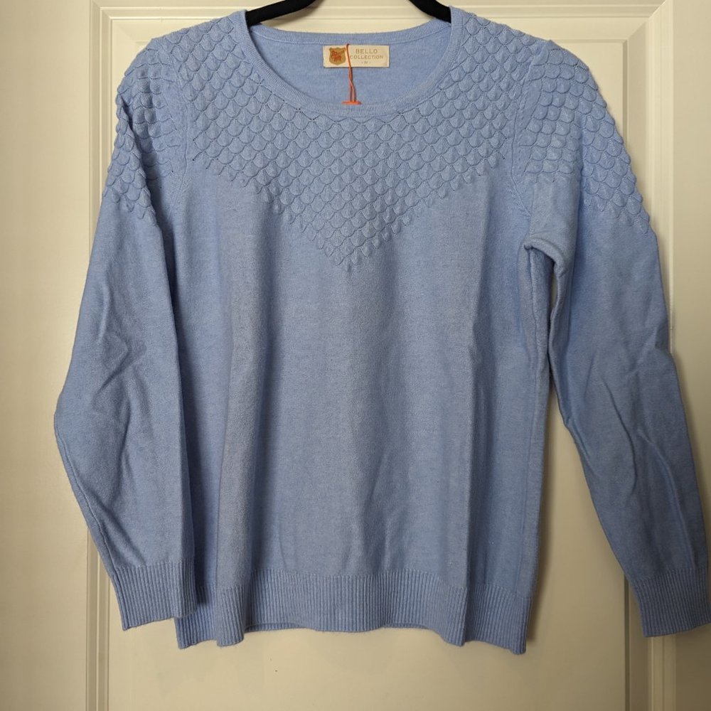 Baby Blue V-Neck Sweater (M)